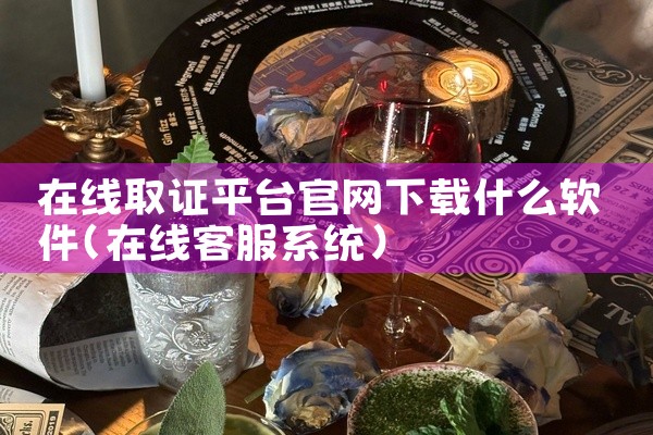 在线取证平台官网下载什么软件