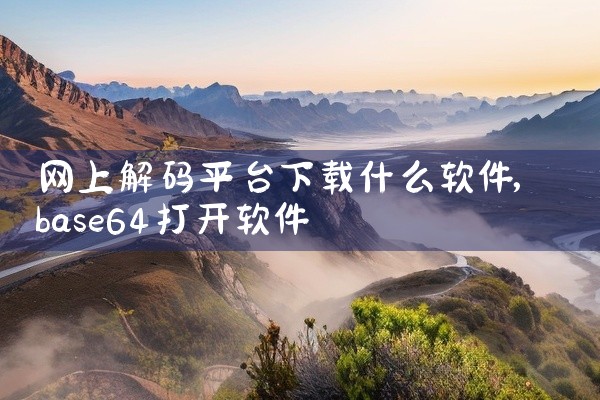 网上解码平台下载什么软件