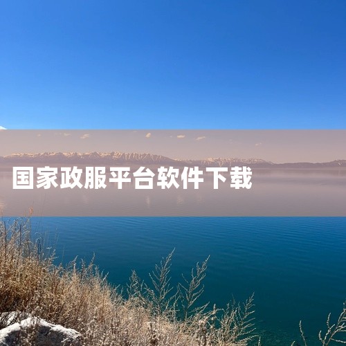 国家政务服务平台网是一款手机应用软件,精简的设计搭配强大的功能,占用资源少运行流畅让手机操作更加高效。支持个性化设置和主题切换,用户可根据喜好定制界面风格和功能布局,2026最新版安卓安装包官方正版,|