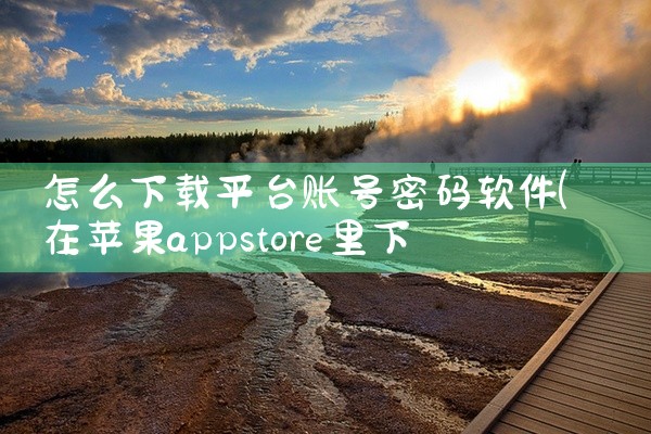 怎么下载平台账号密码软件