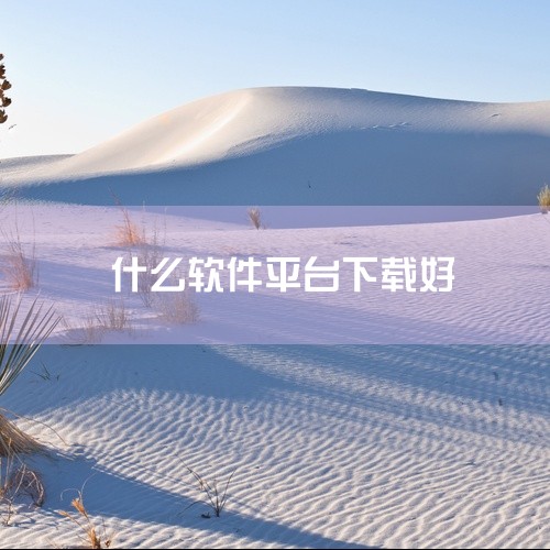以下是一些免费且评价较好的软件下载平台推荐：1. 《应用宝》作为腾讯出品的综合性应用市场，其资源覆盖游戏、应用、主题等多个类别，软件和游戏均经过严格审核，安全性较高。平台支持多平台、多系统使用，用户可|