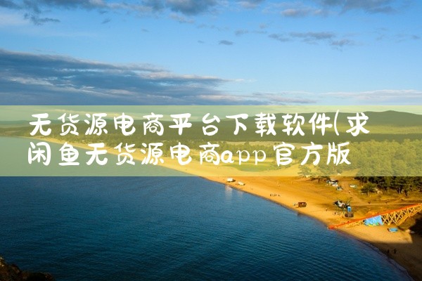无货源电商平台下载软件