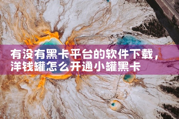 有没有黑卡平台的软件下载