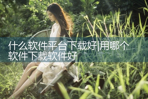 什么软件平台下载好