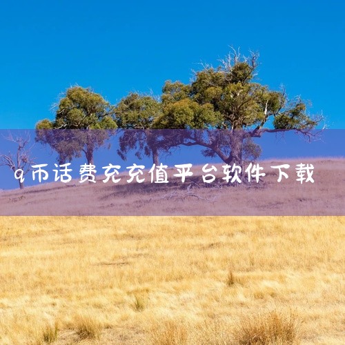 网易宝（网易支付）：这是网易公司推出的在线支付平台，功能全面且实用。用户可以在平台上进行在线充值、交易管理、在线支付账户管理、代收以及提现等操作。此外，网易宝还支持游戏充值、话费充值等丰富的生活服务，,